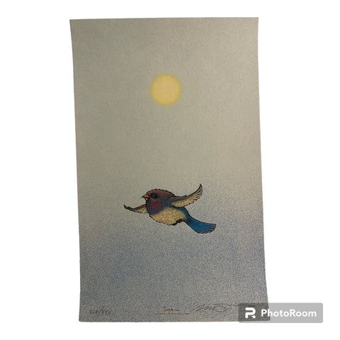 Soaring- Spusta- -Reg