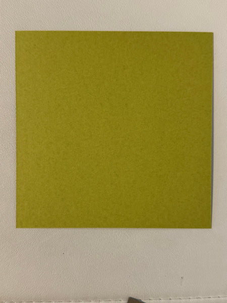 Observed- Spusta - Chlorophyll