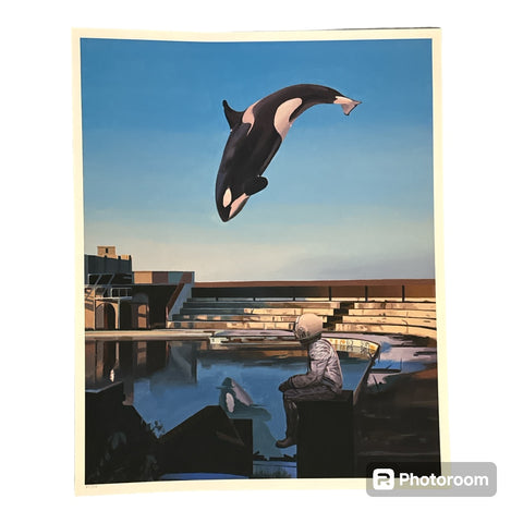 Scott Listfield- Orca -Reg