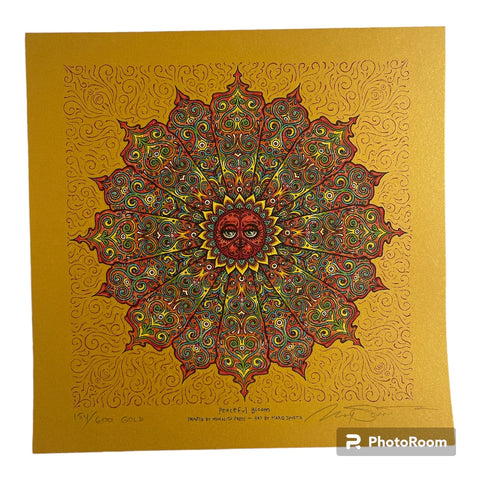 Peaceful Bloom -Spusta - Gold