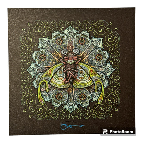 Bliss bug - Spusta - Chocolate shimmer (?)