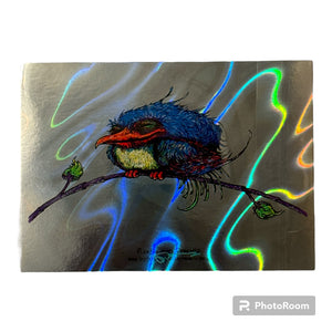 Pleased and Perched - Spusta - Lava Foil