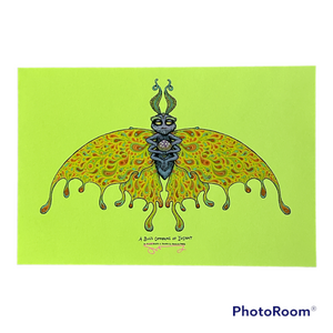 A Bug's Offering Of - Insight / Growth / Beauty - Spusta