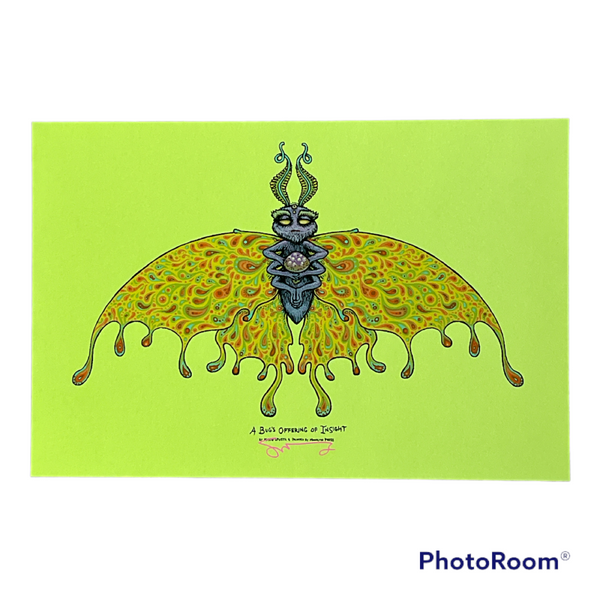 A Bug's Offering Of - Insight / Growth / Beauty - Spusta